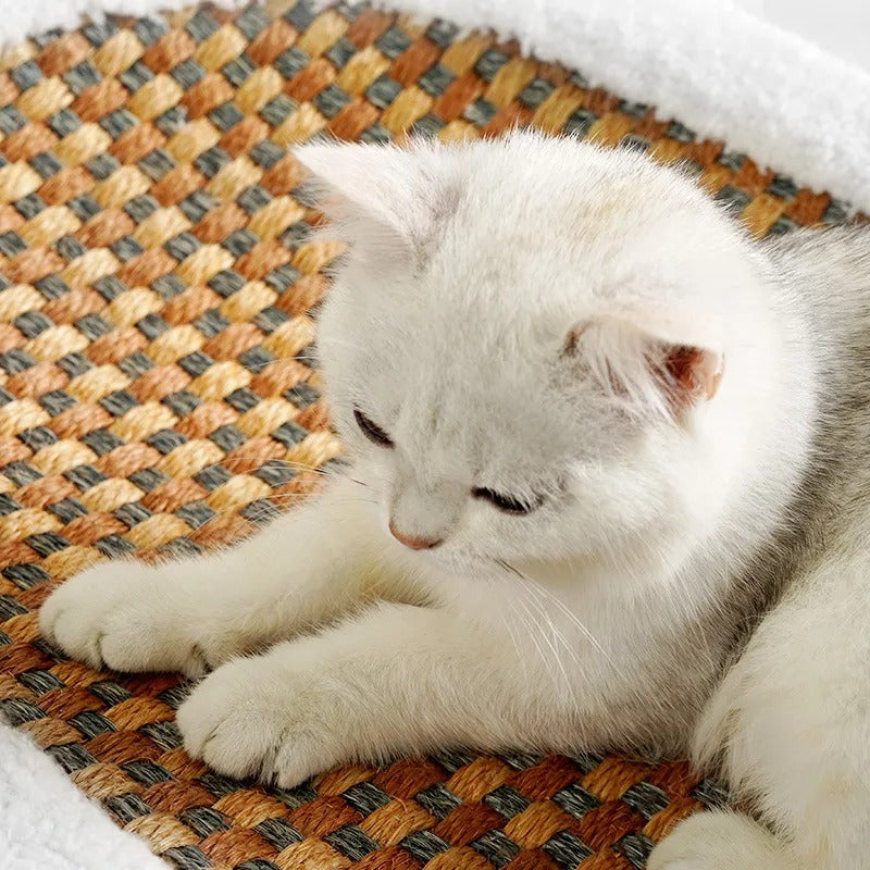 Modernes Katzenmöbel: Gemütliches Katzenbett & Kratzplatte als stilvolle Ergänzung für jedes Zuhause.