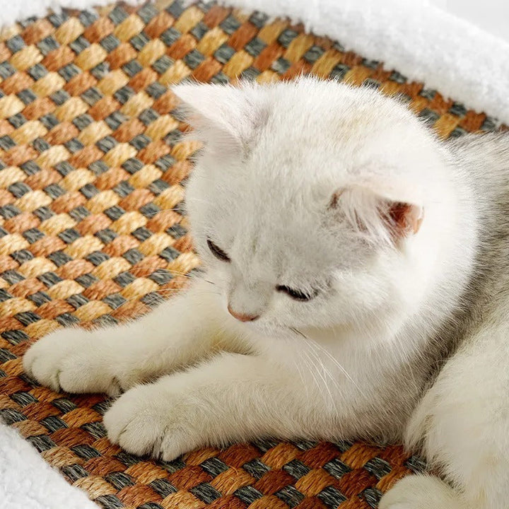 Modernes Katzenmöbel: Gemütliches Katzenbett & Kratzplatte als stilvolle Ergänzung für jedes Zuhause.