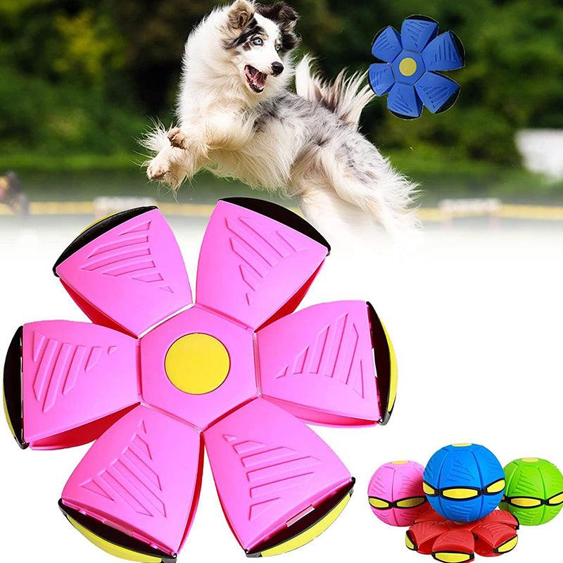 Interaktiver MagicFly Scheibenball, dynamisches Haustierspielzeug mit LED für gemeinsamen Spaß und Bewegung.