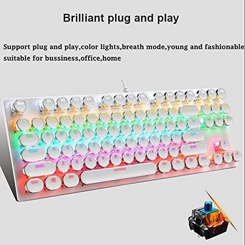 Das perfekte Eingabegerät: Mechanische 87-Tasten Gaming-Tastatur, RGB, blaue Schalter für Gamer.