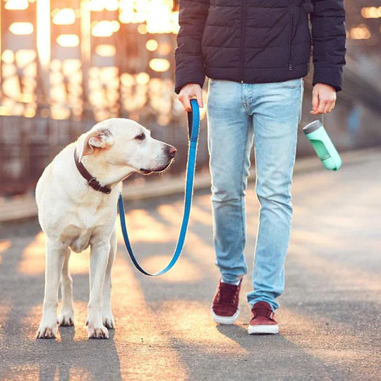 Praktischer Wasserbehälter für Hunde & Katzen, leicht zu transportieren für unterwegs frisches Trinkwasser.