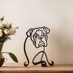 Englische Bulldogge
