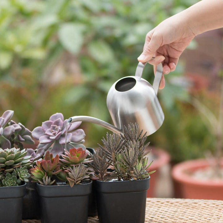 Moderne Gießkanne mit langem Ausguss für präzise Pflanzenbewässerung. Ideal für Garten & Zimmerpflanzen.