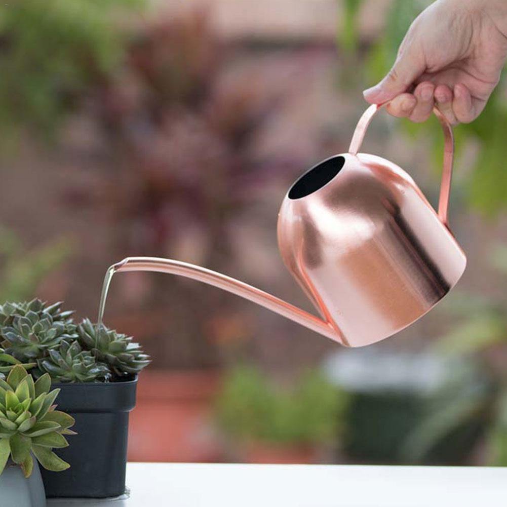 Dekorative Gießkanne mit stilvollem Design und langem Ausguss, ein Blickfang im modernen Zuhause.