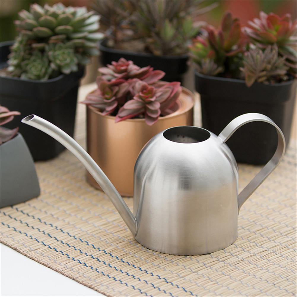 Gießkanne mit schmalem Ausguss für präzise & tropffreie Bewässerung von Orchideen & kleinen Töpfen.