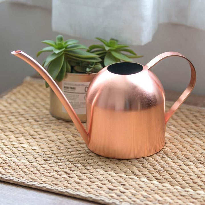 Edle, langlebige Gießkanne aus rostfreiem Material im modernen Design für Haus & Garten.
