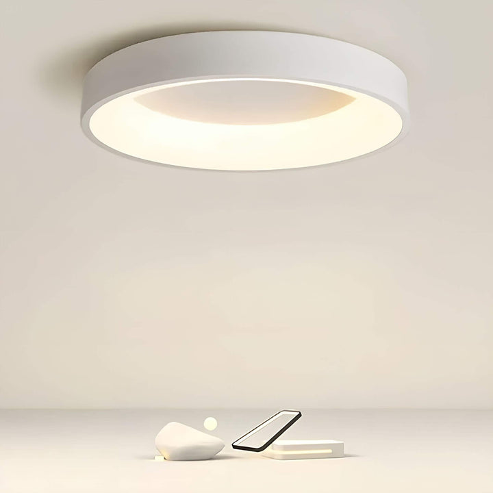 Moderne LED-Deckenleuchte im Skandi-Design, energieeffizient, ideal für Wohnzimmer & Schlafzimmer, warmweiß/kaltweiß.