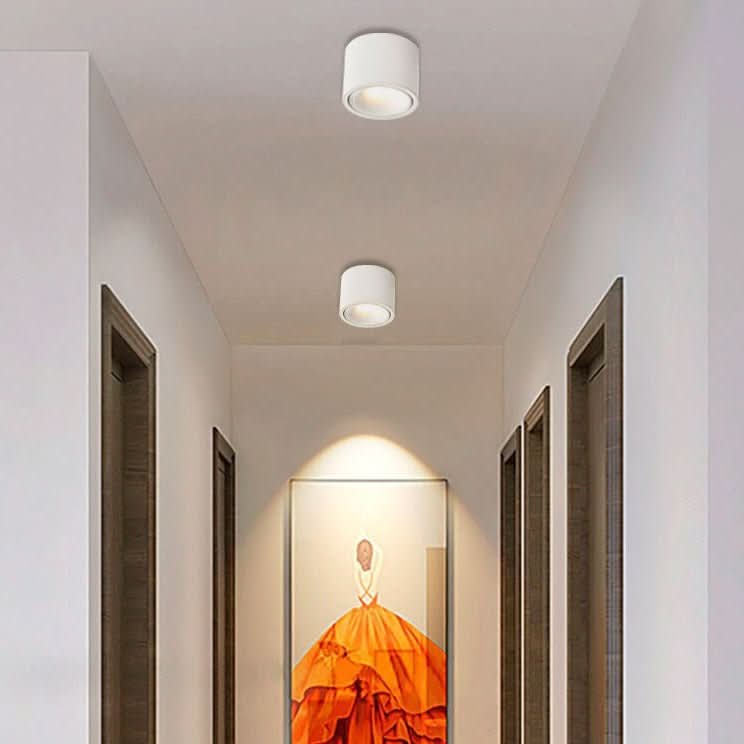 Moderne LED Deckenleuchte mit verstellbarem Spot, ideal für Wohnzimmer. Energieeffiziente Deckenlampe.