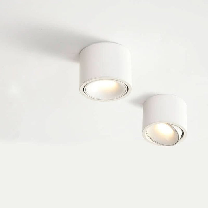 Energieeffiziente LED Deckenlampe in Schwarz mit flexiblem Spot für moderne Wohn- & Küchenbereiche.