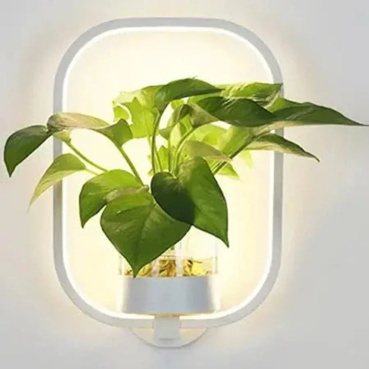 Innovativ: LED-Wandleuchte mit integriertem Pflanztopf, ideal als Blickfang für eine grüne Innenbeleuchtung.
