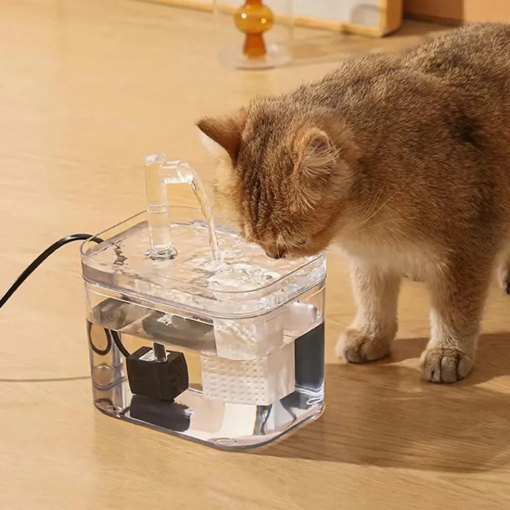 Eleganter Katzenbrunnen mit frischem, fließendem Wasser; eine automatische Wassertränke für Ihre Katze.