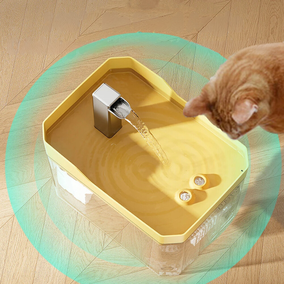 Stilvoller Haustier Trinkbrunnen, bietet frisches, gefiltertes Wasser für Katzen und Hunde.