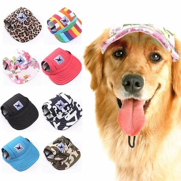 Blumenmuster Hunde-Cap, ein süßes Tieraccessoire mit Sonnenschutz für modische Hunde.