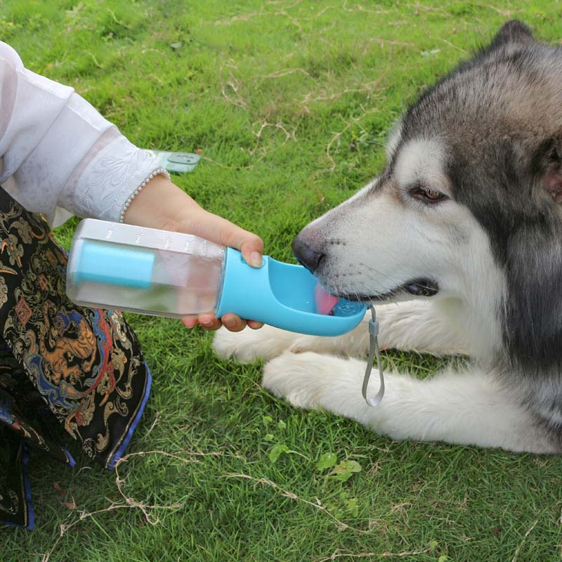 Hunde-Wasserflasche mit Futterbehälter, einfach zu bedienen, für bequeme Versorgung Ihres Haustiers.