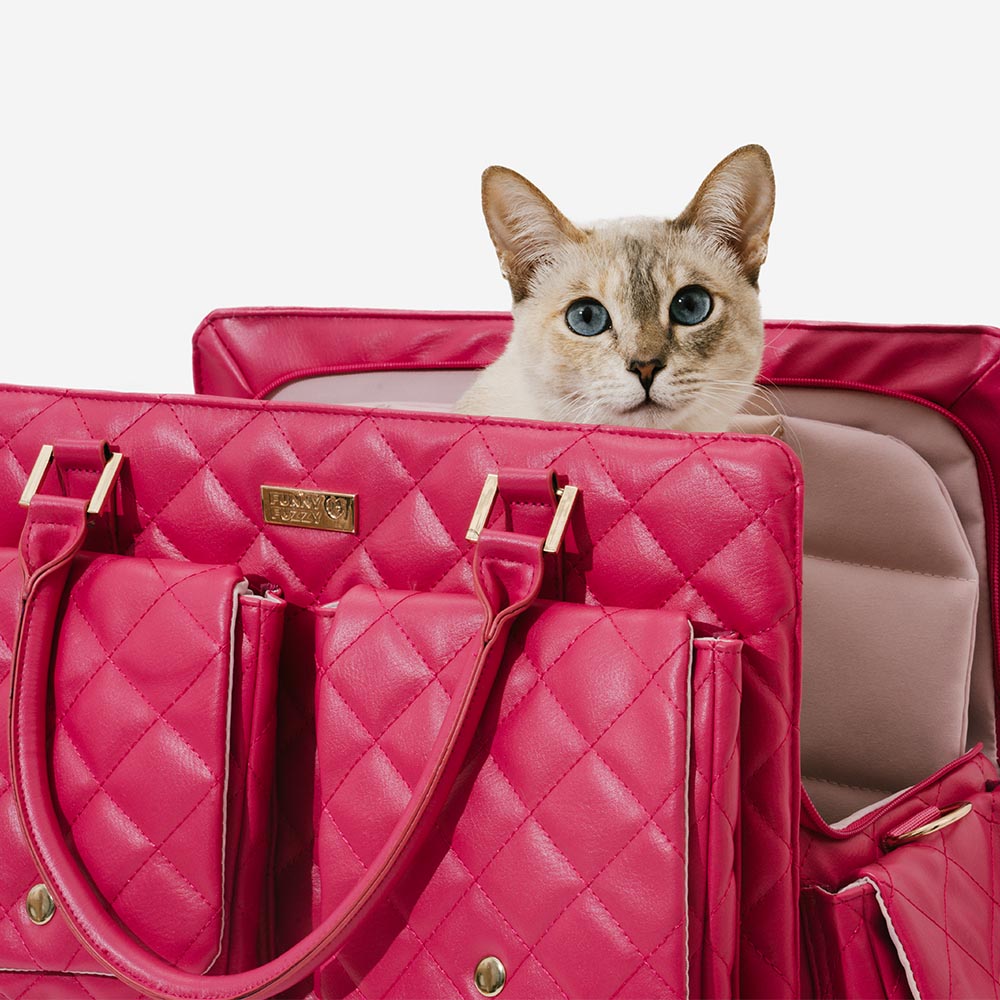 Multifunktionale Leder-Reisetasche für Hunde, mit viel Platz & gemütlichem Liegebereich.
