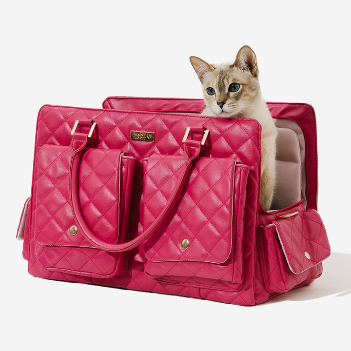 Sichere Leder-Hundetragetasche mit stabilen Griffen, ideal für entspannte Fahrten.