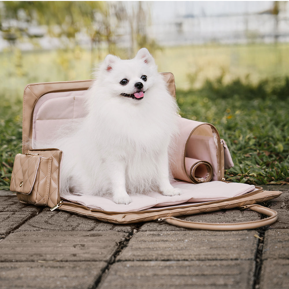 Premium Leder-Transporttasche für Hunde & Katzen, wasserabweisend & leicht zu reinigen.
