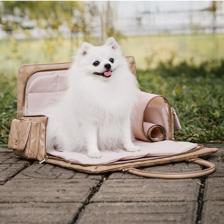 Premium Leder-Transporttasche für Hunde & Katzen, wasserabweisend & leicht zu reinigen.
