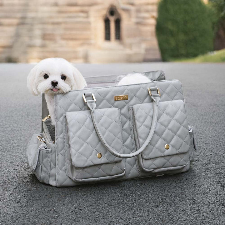 Leder-Hundetragetasche für den urbanen Lifestyle, chic & funktionell zugleich.
