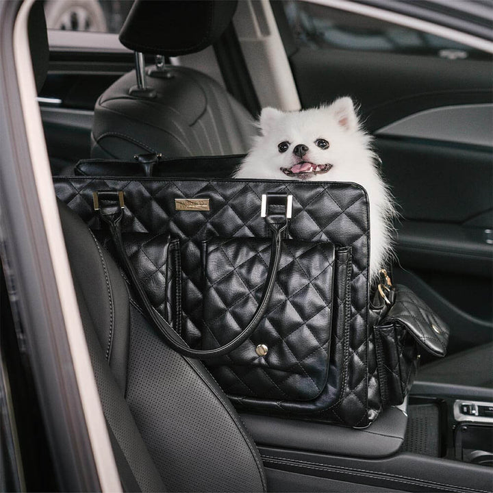 Robuste Haustiertasche aus hochwertigem Leder, perfekt für Transport im Auto oder Zug.