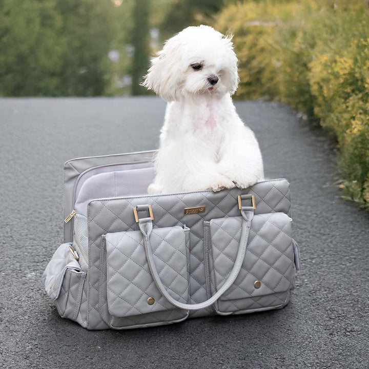 Robuste Leder-Transporttasche für mittelgroße Hunde, mit Griffen & Schultergurt.