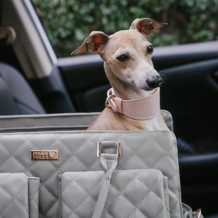 Elegante Leder-Hundetragetasche, eine stilvolle Investition in Haustier-Komfort.