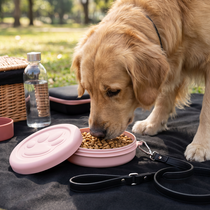 Tragbarer Futterbehälter mit integrierter Wasserschale für Hunde & Katzen, perfekt für Outdoor-Aktivitäten.