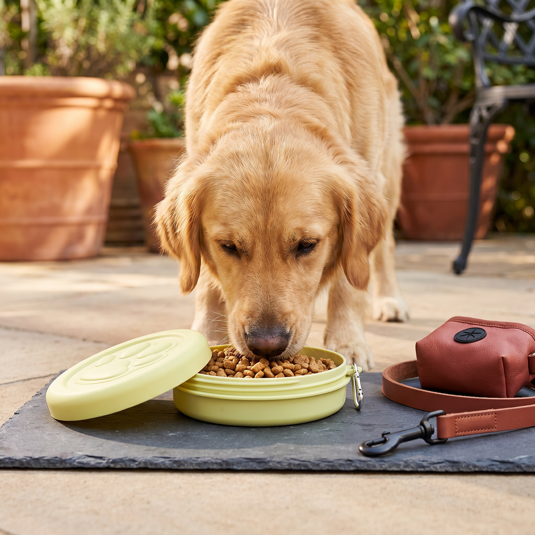 Multifunktionaler Futter- & Trinkbehälter für Tierfutter; ideal als tragbares 2-in-1 Hunde- & Katzenzubehör.