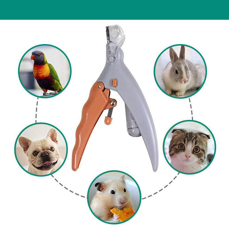 Sicherer Krallenschneider für Hunde mit Quick-Sensor, verhindert Über-Schneiden, professionelle Tierpflege.