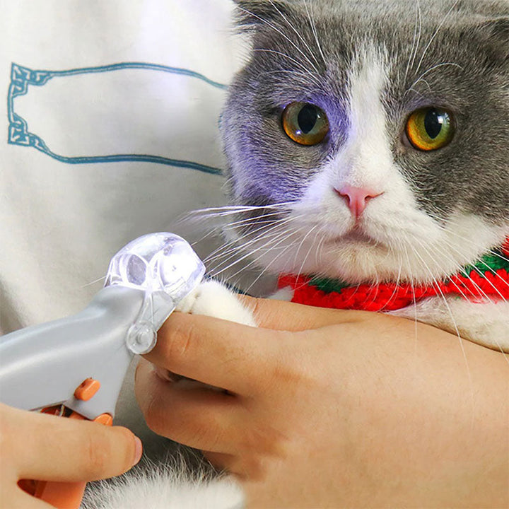 Ergonomischer Nagelknipser für Hunde: präzise Krallenpflege dank integriertem Schnellsensor.