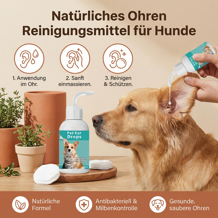 Sanfter Ohrenreiniger für Hunde in Anwendung. Pflegt die Ohren natürlich und unterstützt die Ohrgesundheit.