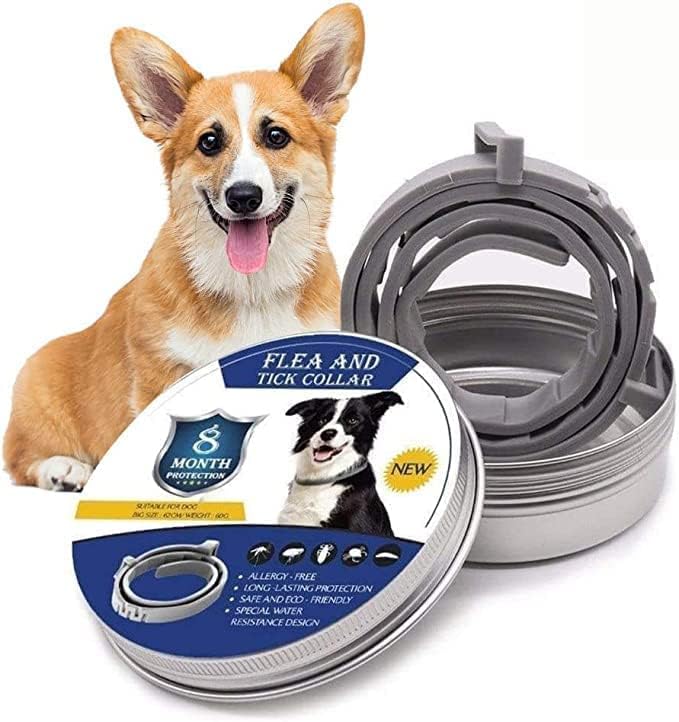 Hund & Katze Zeckenschutz Halsband; natürlicher, wasserdichter Flohschutz für Ihr Haustier.