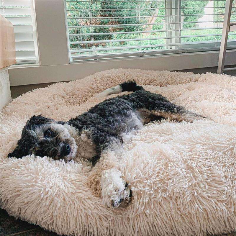 Kuscheliges Nuvio Plüschkissen für Hunde. Das Anti-Stress Hundebett bietet optimalen Haustierkomfort.
