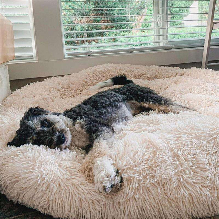 Kuscheliges Nuvio Plüschkissen für Hunde. Das Anti-Stress Hundebett bietet optimalen Haustierkomfort.
