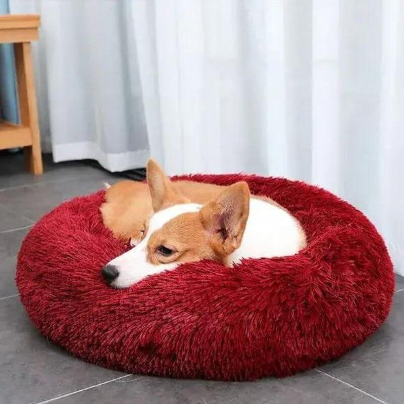 Waschbares Nuvio Anti-Stress Hundekissen. Hygienisches Hundebett für maximalen Komfort & Ruhe.