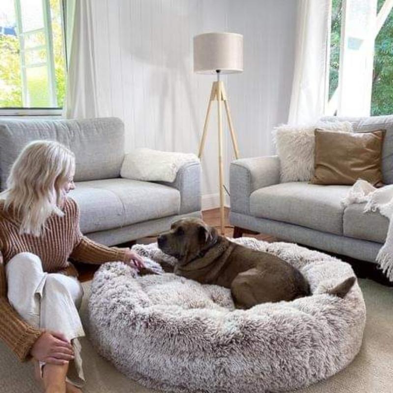Nuvio Hundekissen für alle Größen. Das weiche Plüschkissen ist beruhigend und stressmindernd.