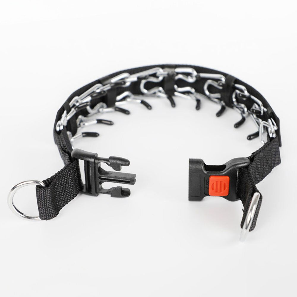 Trainingshalsband für Hunde: Pincher-Stil für Kontrolle, Nylon & Schnellverschluss für Komfort.