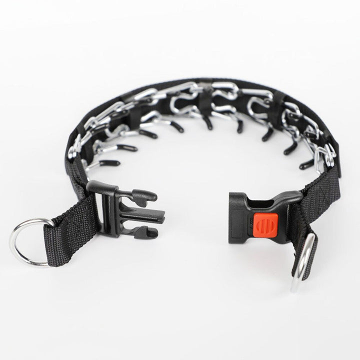 Trainingshalsband für Hunde: Pincher-Stil für Kontrolle, Nylon & Schnellverschluss für Komfort.