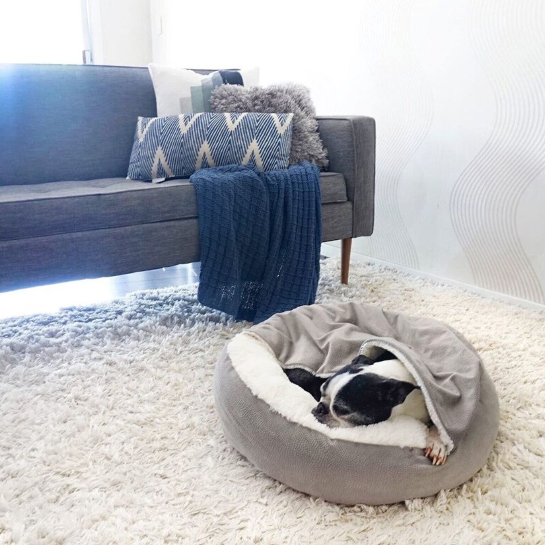 Hochwertiges orthopädisches Tierbett SnuggleNest, ideal für Hunde. Waschbare Kuschelhöhle für Entspannung.
