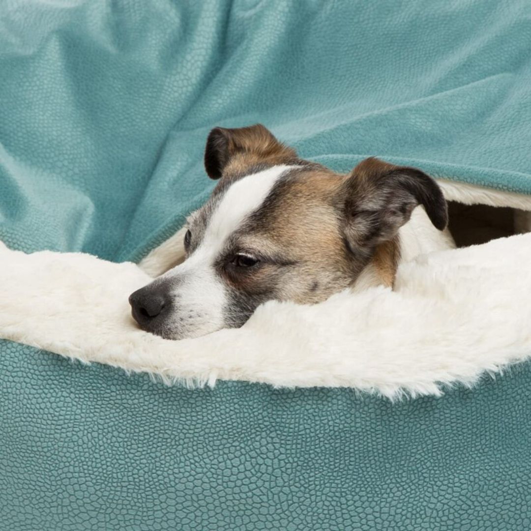 Weiches, waschbares SnuggleNest: Orthopädische Hunde-Kuschelhöhle für tiefenentspannten Schlafplatz Ihres Vierbeiners.