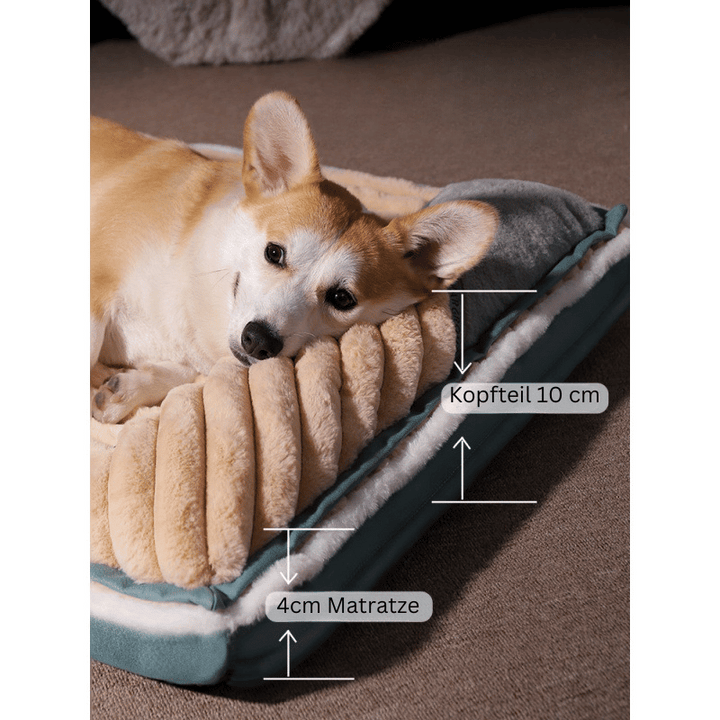 Grüne orthopädische Hundematte mit Memory-Schaum bietet gemütlichen Schlafplatz für alle Haustiere.