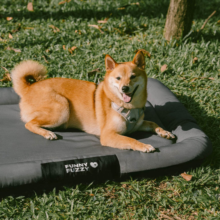 Wasserdichtes Haustierbett, orthopädisch & kratzfest. Die ideale Outdoor Hundematte für jedes Wetter.