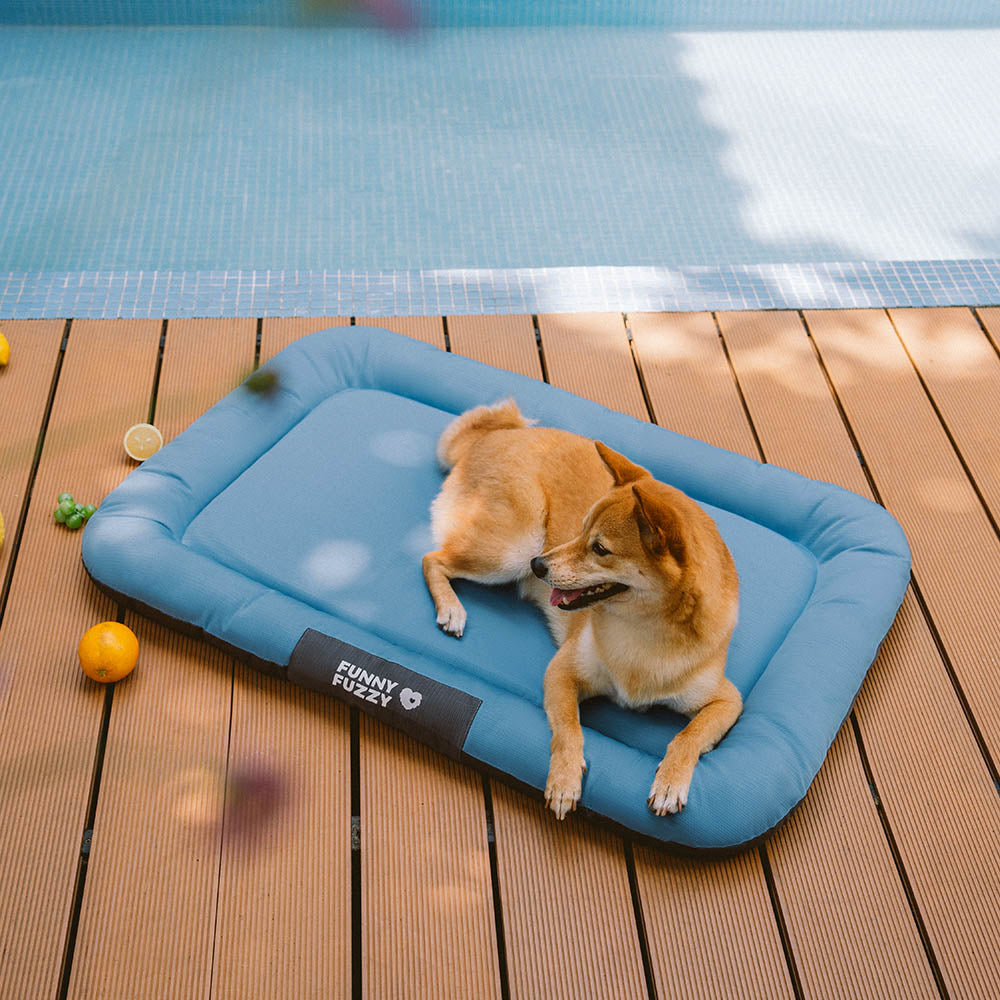 Kratzfeste Outdoor Hundematte, orthopädisch und wasserdicht. Für entspannte Stunden im Freien.