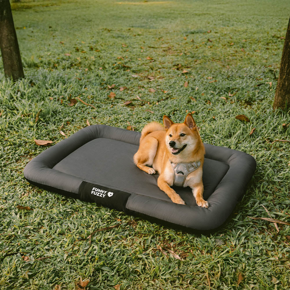 Wasserabweisende orthopädische Hundematte, kratzfest & langlebig. Optimal für Outdoor-Abenteuer.