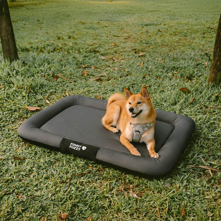 Wasserabweisende orthopädische Hundematte, kratzfest & langlebig. Optimal für Outdoor-Abenteuer.