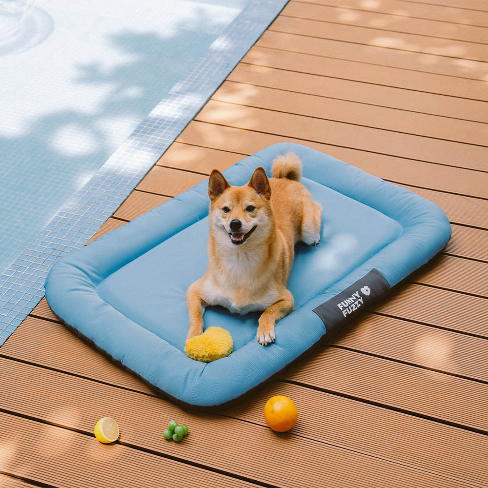 Komfortable orthopädische Hundematte, wasserdicht & kratzfest. Perfekt als Hundezubehör.
