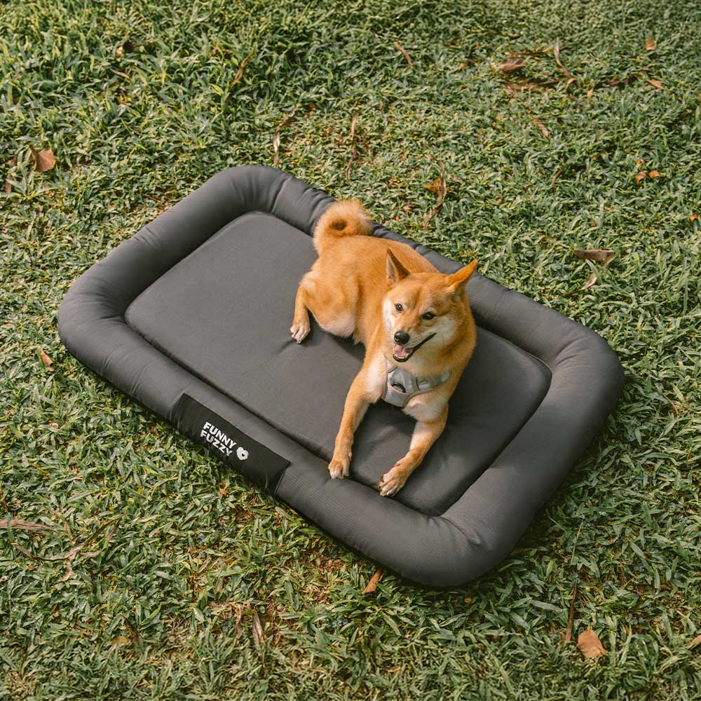 Stilvolle Farbblock Outdoor Hundematte, orthopädisch, wasserdicht & kratzfest.