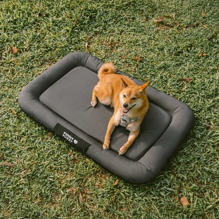 Stilvolle Farbblock Outdoor Hundematte, orthopädisch, wasserdicht & kratzfest.