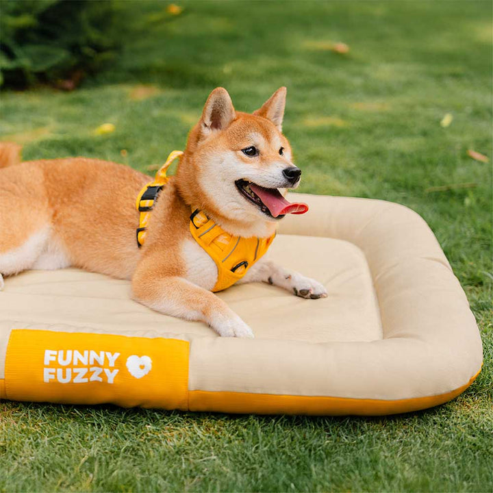 Orthopädisches Hundezubehör: Outdoor-Hundematte, wasserdicht und kratzfest, waschbar.