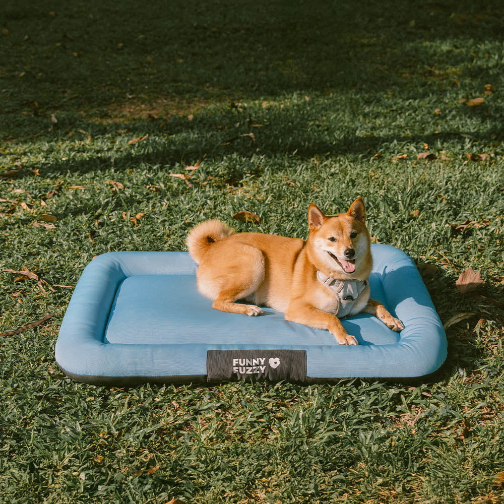Faltbare orthopädische Outdoor Hundematte, wasserdicht & kratzfest. Einfach zu transportieren.
